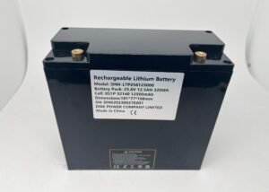 DNK 25.6V 12.5Ah 320WH lifepo4 battery pack